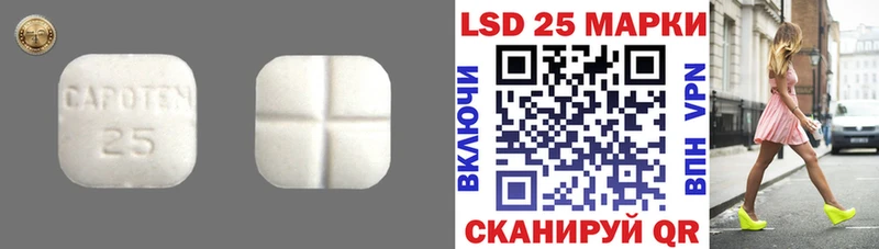 Лсд 25 экстази кислота  Купить где  Котовск 